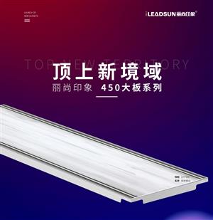 【新品速递】大板顶的最佳性价比之选？丽尚...